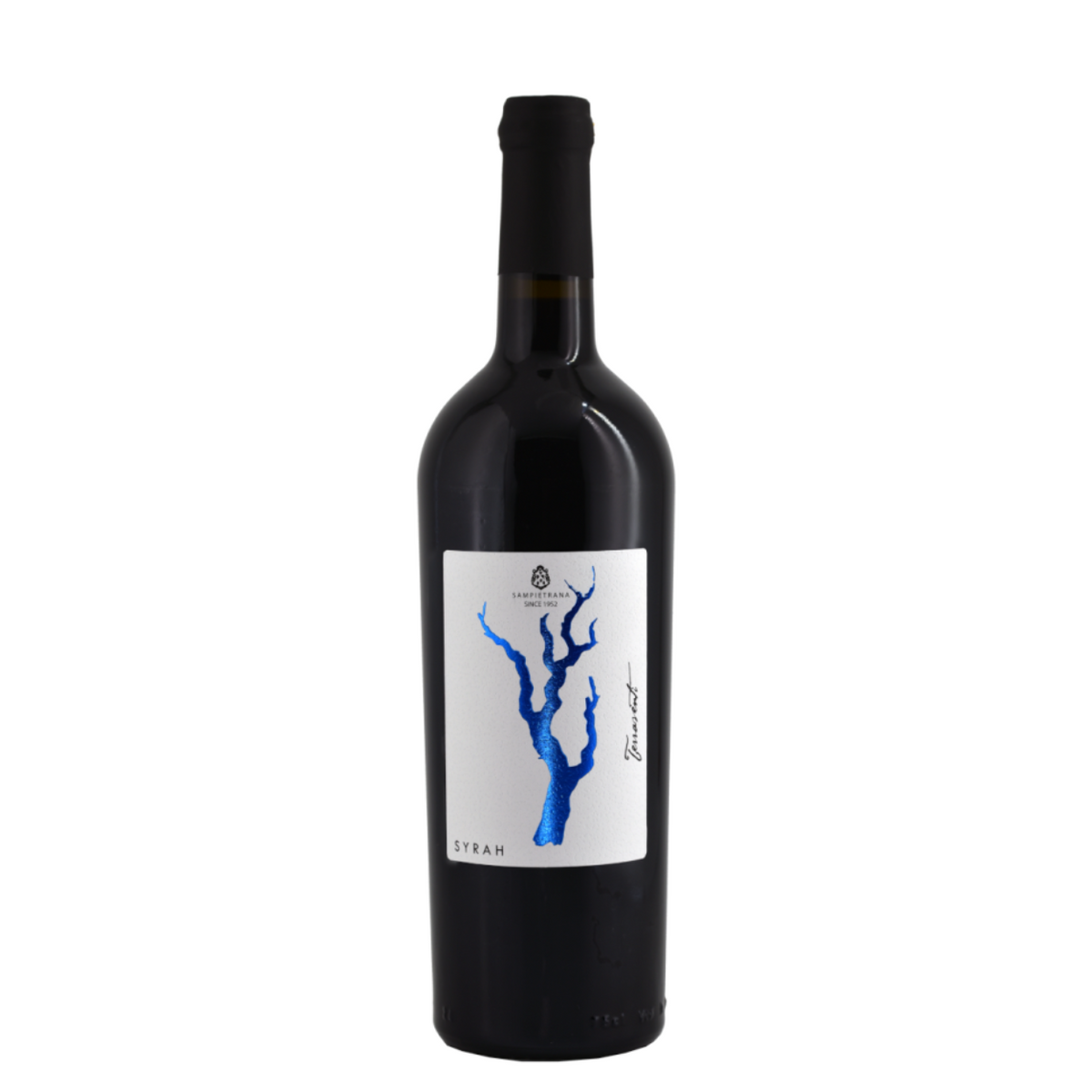 ジェラートプルオーバー　ワイン テッラヴェンティ・シラー サレント'21 – BIANCOROSSOオンラインショップ