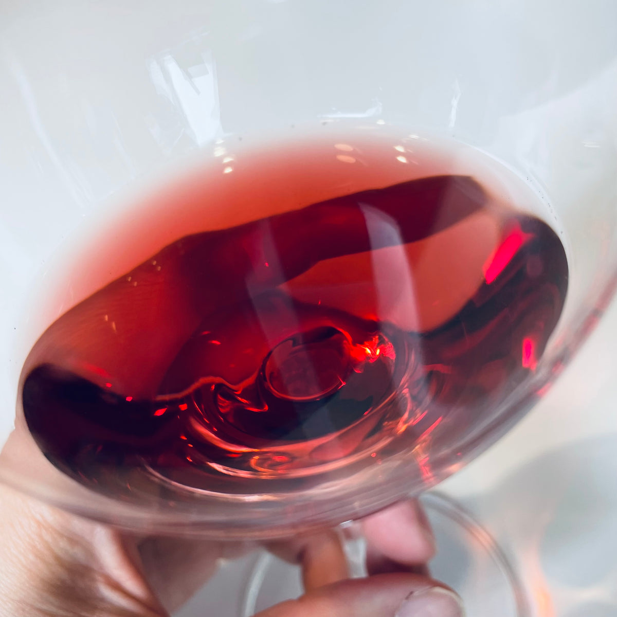 スキアーヴァ トレンティーノ'23 🇮🇹 – BIANCOROSSOオンラインショップ