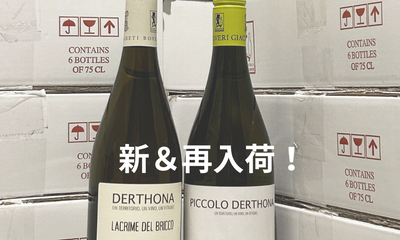 2025/2 新＆再入荷