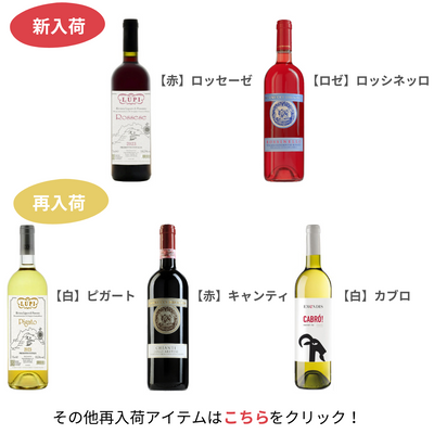 2025春！新＆再入荷アイテム