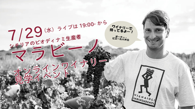 シチリア島の最南端！マラビーノ社：オンラインワイナリー見学ツアー開催！