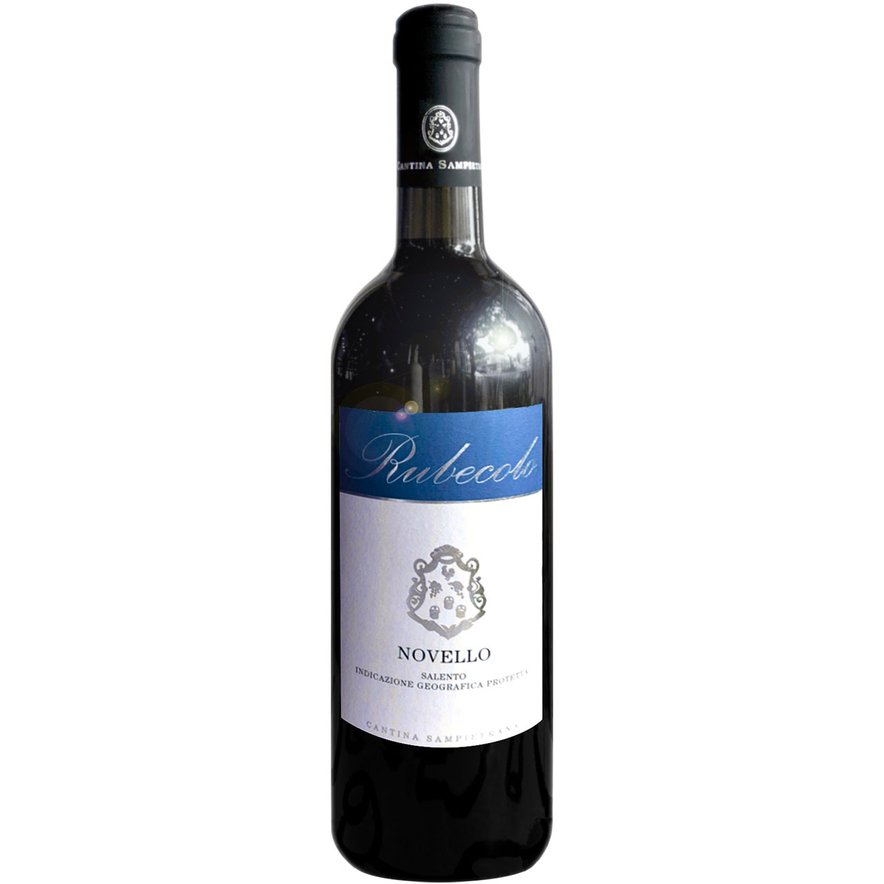 Vin Robin Huang / POH Copiapoa 羅本製所 Vin Robin Huang / POH Vin Robin Huang / POH Copiapoa 羅本製所 Vin Robin Huang / POH