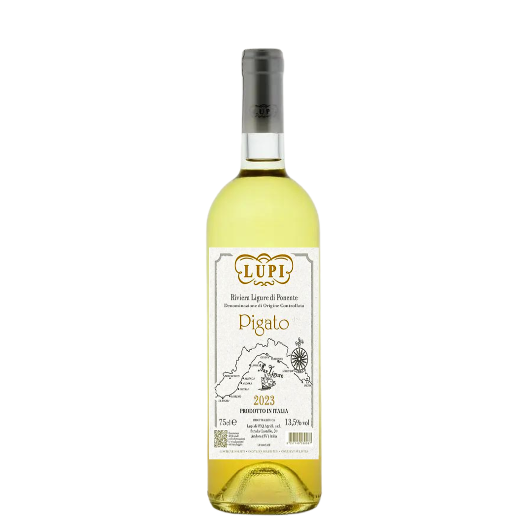 ピガート '24 – BIANCOROSSOオンラインショップ