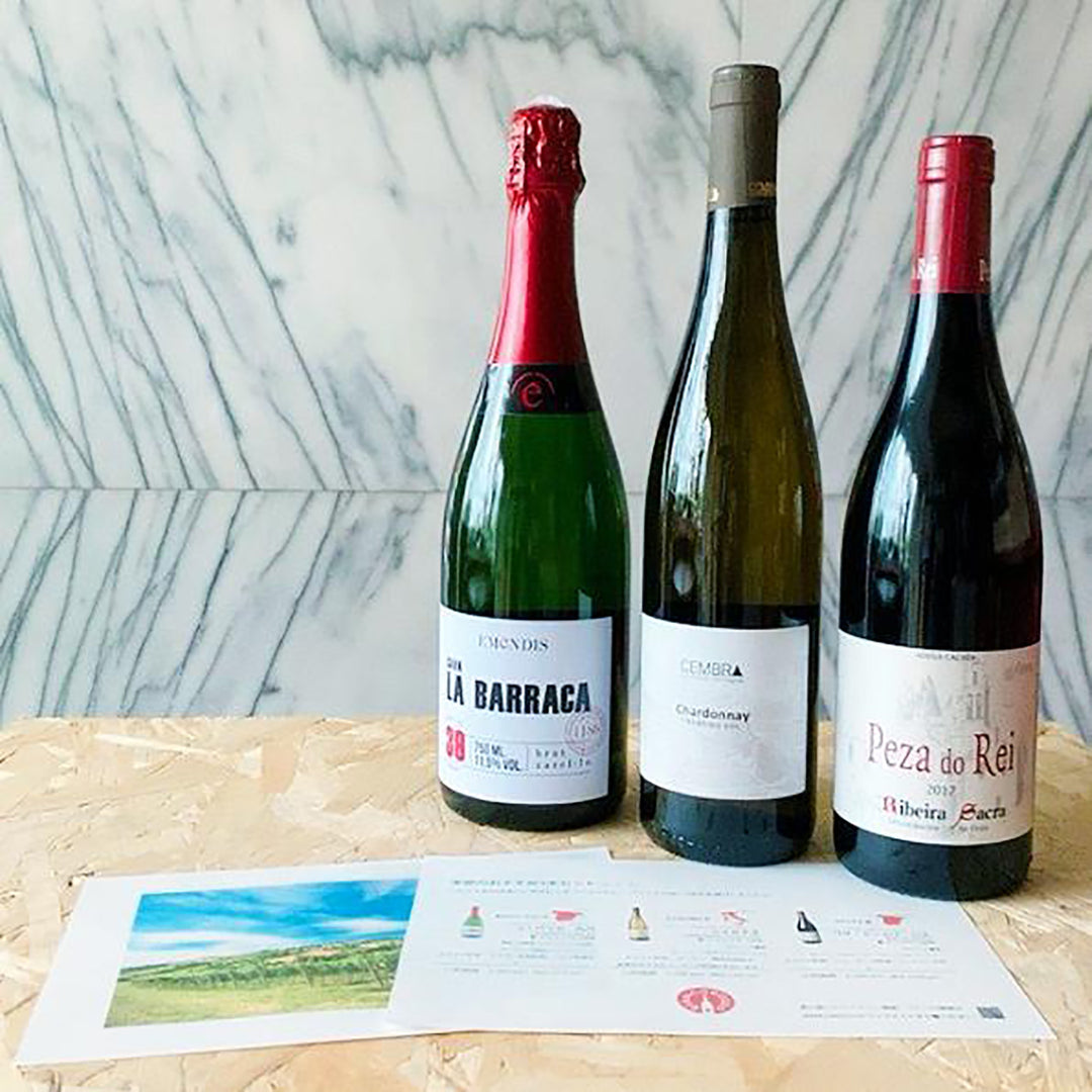 定期便：毎月 or 隔月》お得な季節ワインの3本セット – BIANCOROSSO