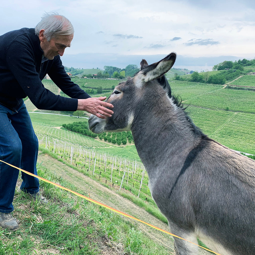 レ・ドゥエ・ローゼ ロザート 🇮🇹 – BIANCOROSSOオンラインショップ