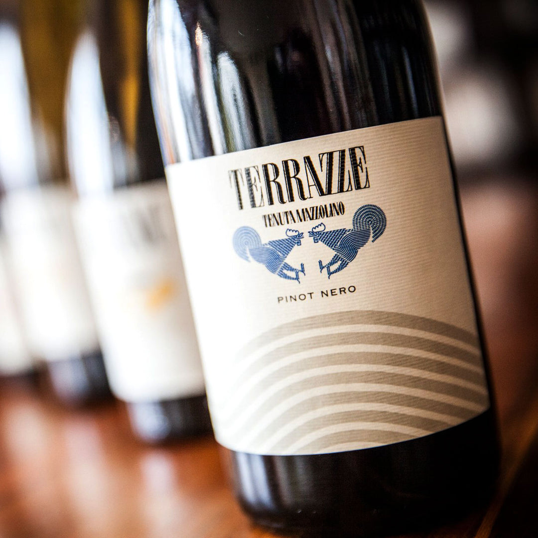 テッラッツェ ピノ・ネロ プロヴィンチャ・ディ・パヴィア '23