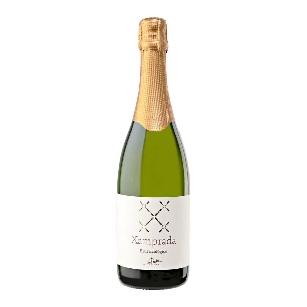 xamprada_brut_1024x1024.jpg?v=